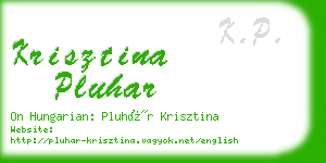 krisztina pluhar business card